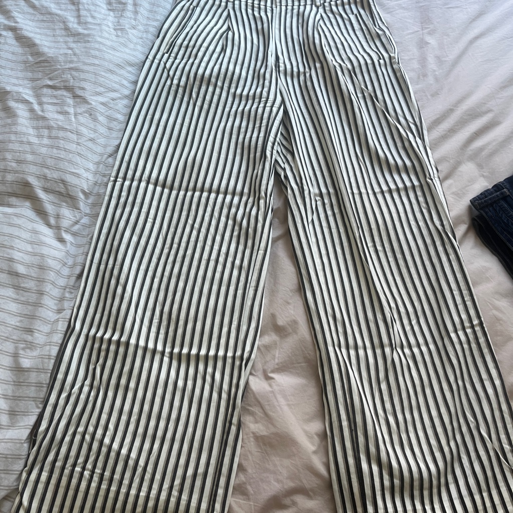 Everlane Draper Pleated Striped Pants
